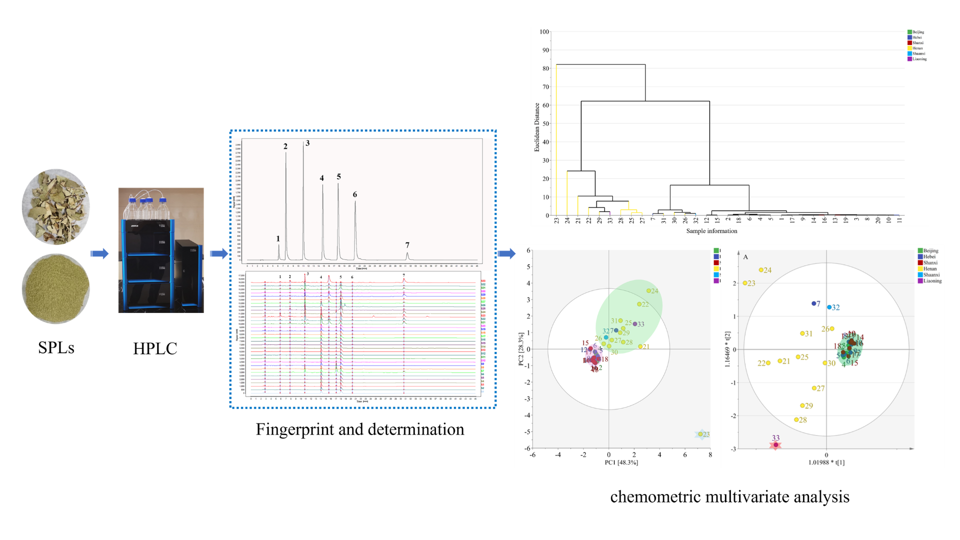 Chemical fingerprinting and simultaneous determination of main
compounds combined with multivariate analysis of the Syringa
pubescens Turcz. leaves from different origins
