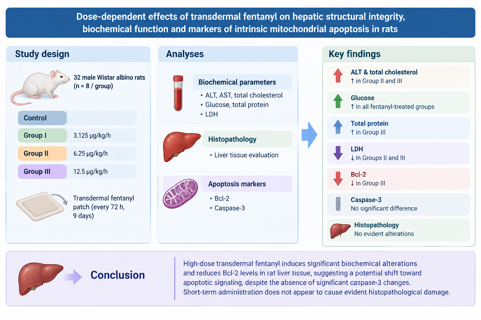 Dose-dependent effects of transdermal fentanyl on
hepatic structural integrity, biochemical function and markers of intrinsic
mitochondrial apoptosis in rats