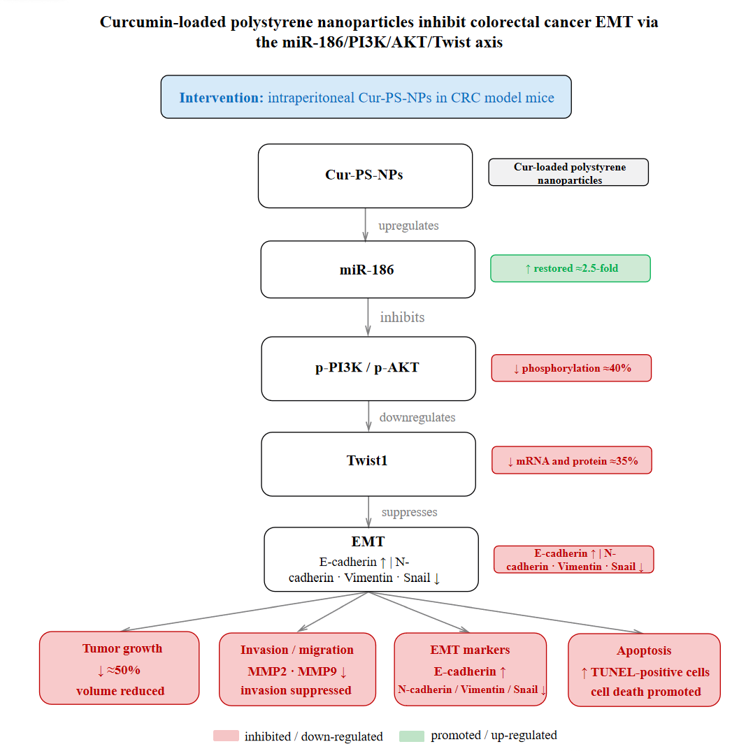 Curcumin carried by polystyrene nanoparticles
inhibits phosphatidylinositol 3-kinase/protein kinase B signaling pathway
through miR-186 and down-regulates Twist to inhibit the epithelial-mesenchymal
transition in colorectal cancer in mice