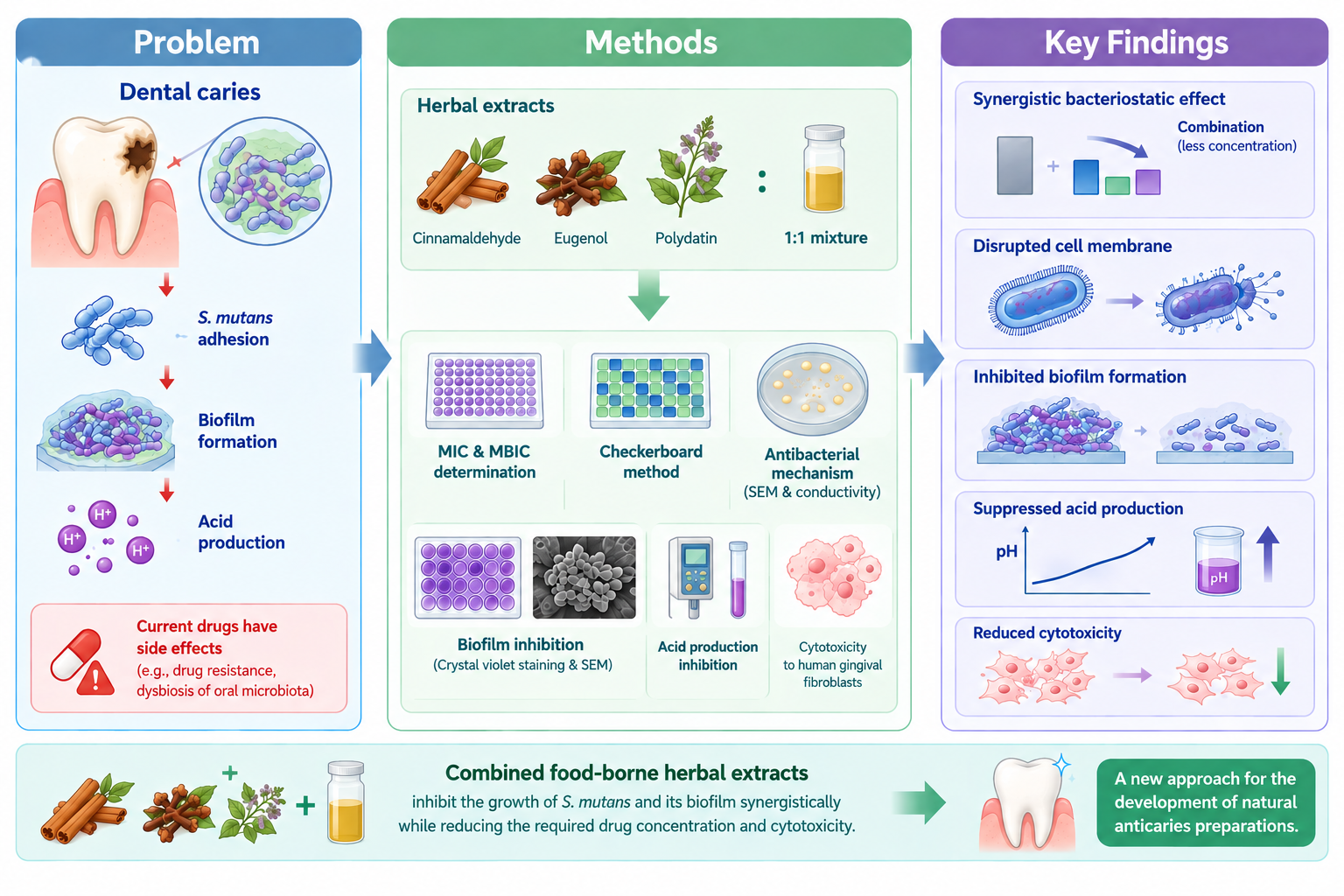 In-vitro study on the effect of cinnamaldehyde, eugenol
and polydatin on the growth of Streptococcus
mutans and the formation of dental plaque biofilms