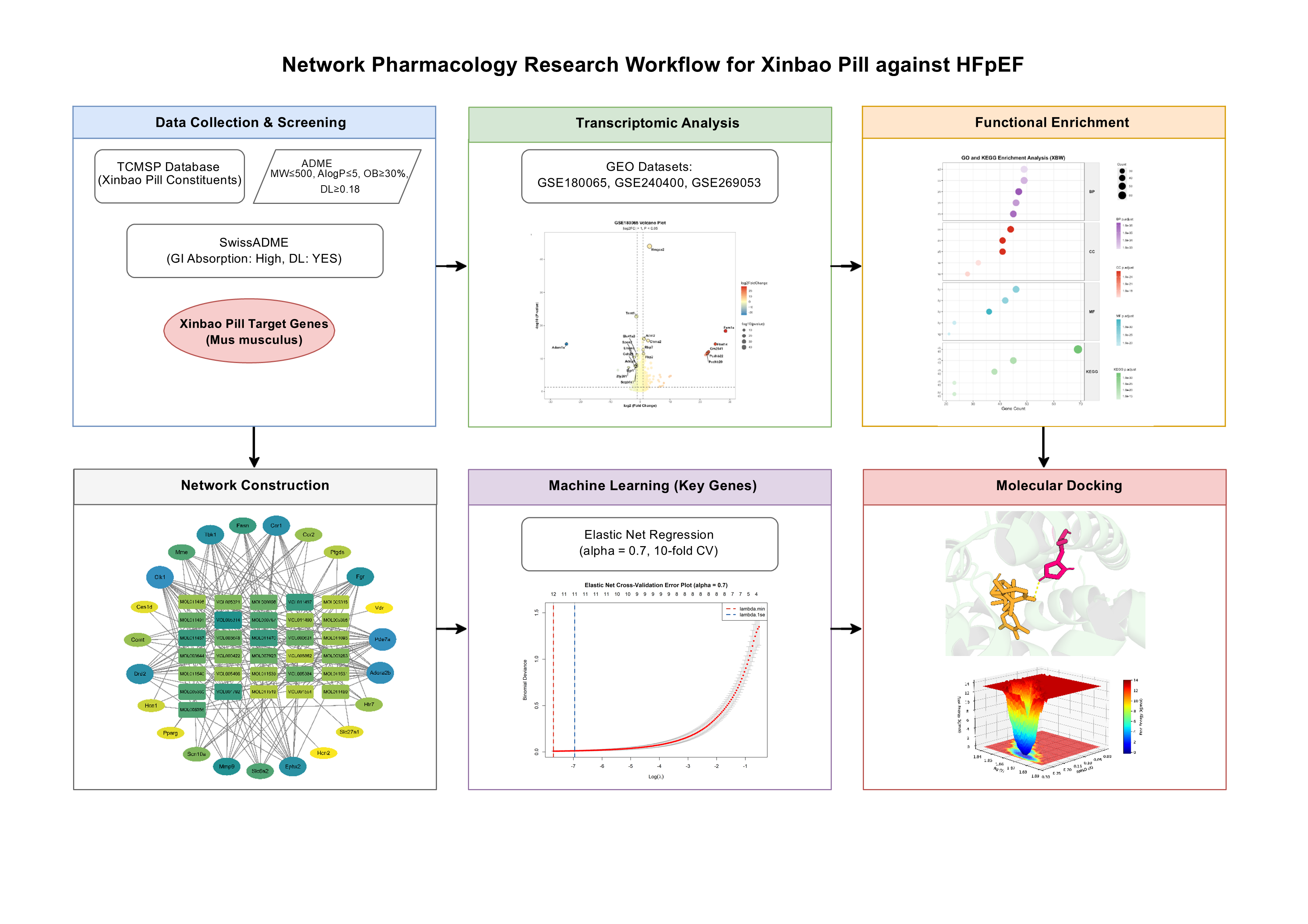 Network pharmacology
analysis of Xinbao Pill against heart failure with preserved ejection fraction