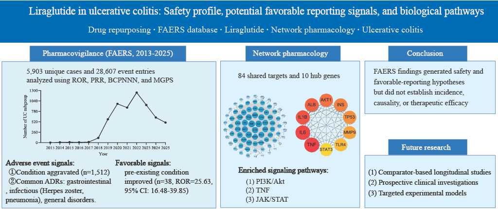 Safety profile and potential favorable reporting signals of liraglutide in patients with ulcerative colitis: A FAERS pharmacovigilance and network pharmacology study